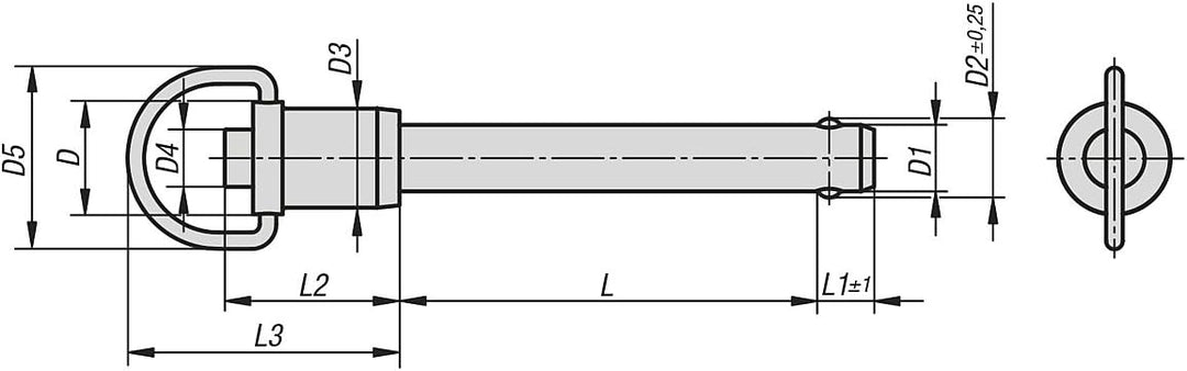 KIPP – Bedienteile | Normelemente K0746.01508070 Kugelsperrbolzen mit Ringklammer Edelstahl, selbsts