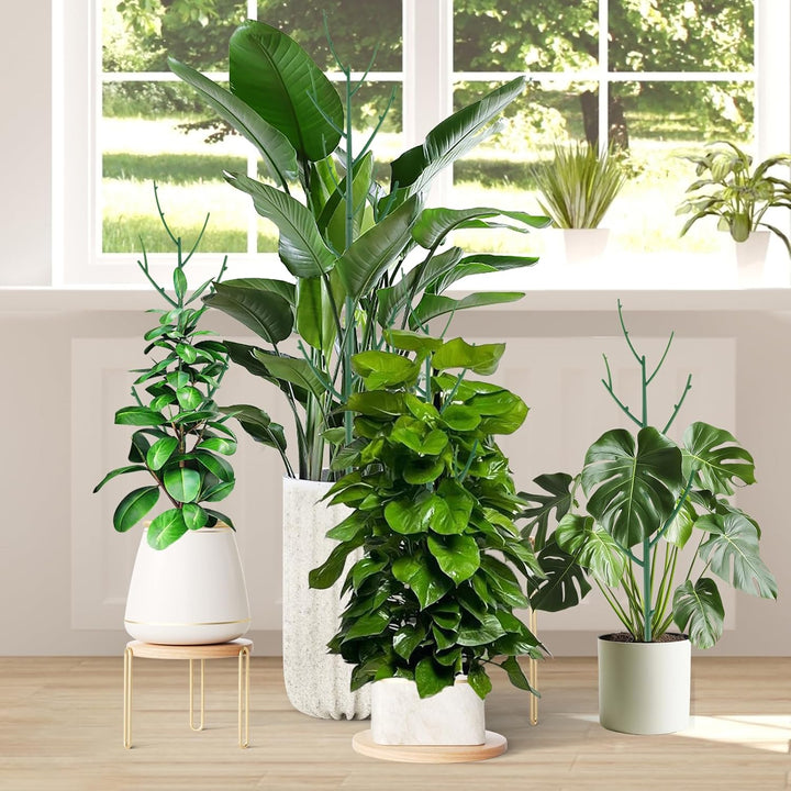 15er-Set stapelbare Pflanzstäbe, höhenverstellbare Monstera-Stützen, Gartenstäbe für Innen- und Auss