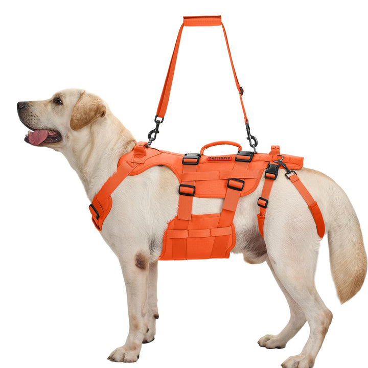 OneTigris Hundegeschirr, Invictus Hunde Tragehilfe für Mittelgrosse Grosse, Einstellbar Gehhilfe für