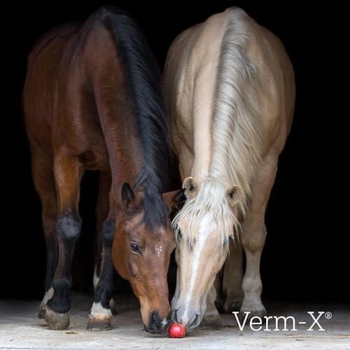 Verm-X kräuterflüssigkeit Für Pferde &amp; Ponies-500 Ml, Clear, Unisex, Unisex