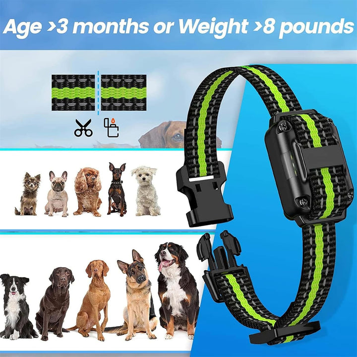 Generisch Agility-Ausrüstung,2025Erziehungshilfen,Ideal auch für Agility-Training.Praktische Hundeer