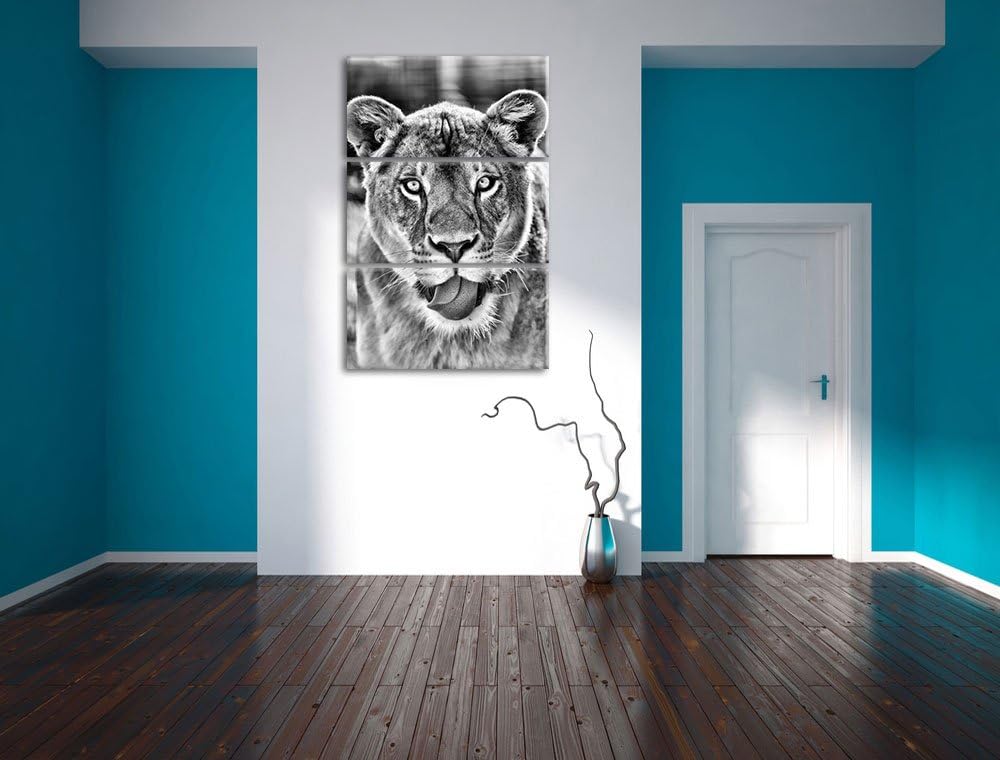 Pixxprint Monocrome, schöne Löwin 3-Teiler Leinwandbild 120x80 Bild auf Leinwand