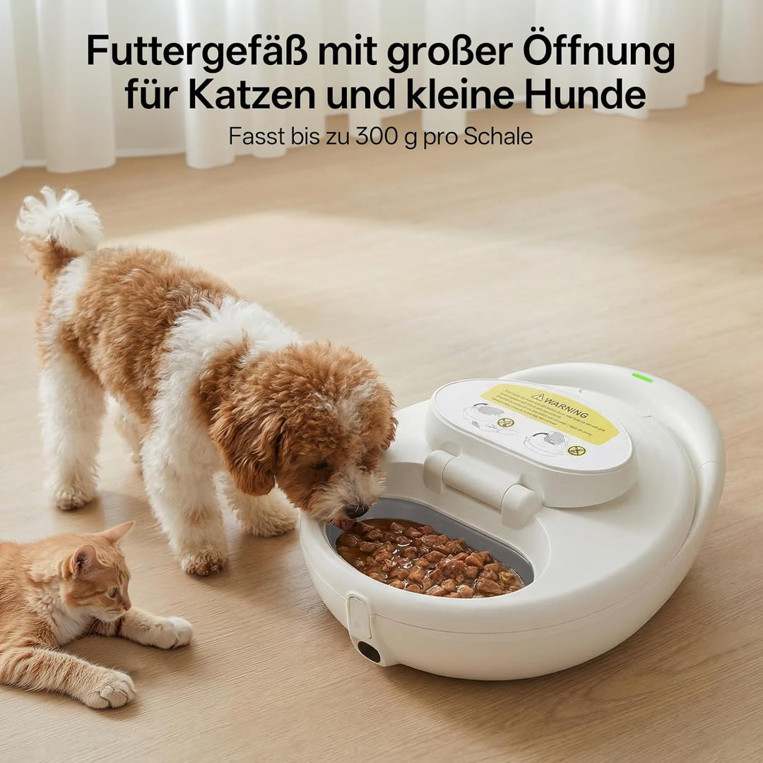 UBPET Futterautomat Katze Nassfutter, Dual-Temp mit Halbleiterkühlung & heizung, App gesteuerter Fut