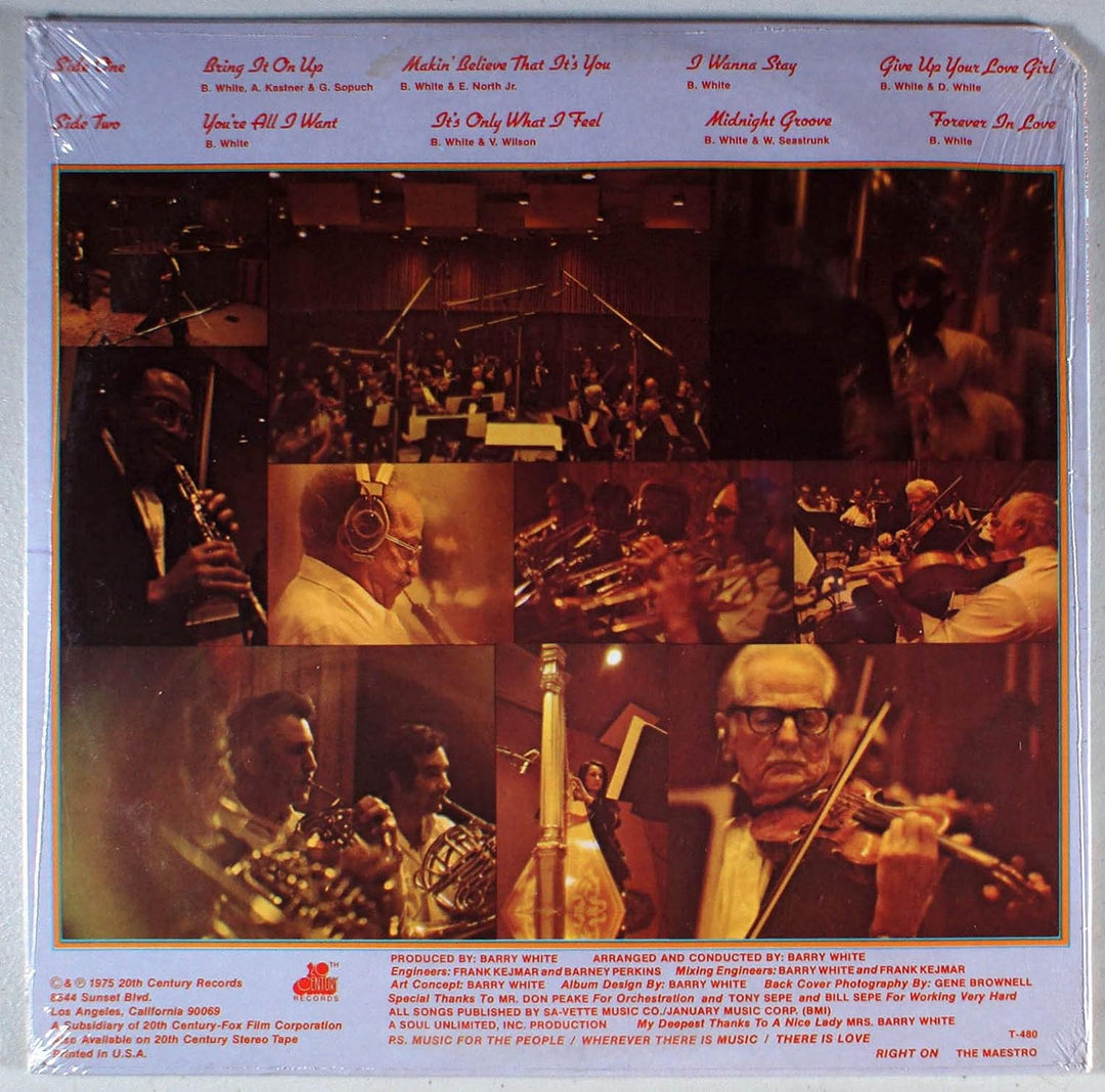 music maestro please LP, Vinyl