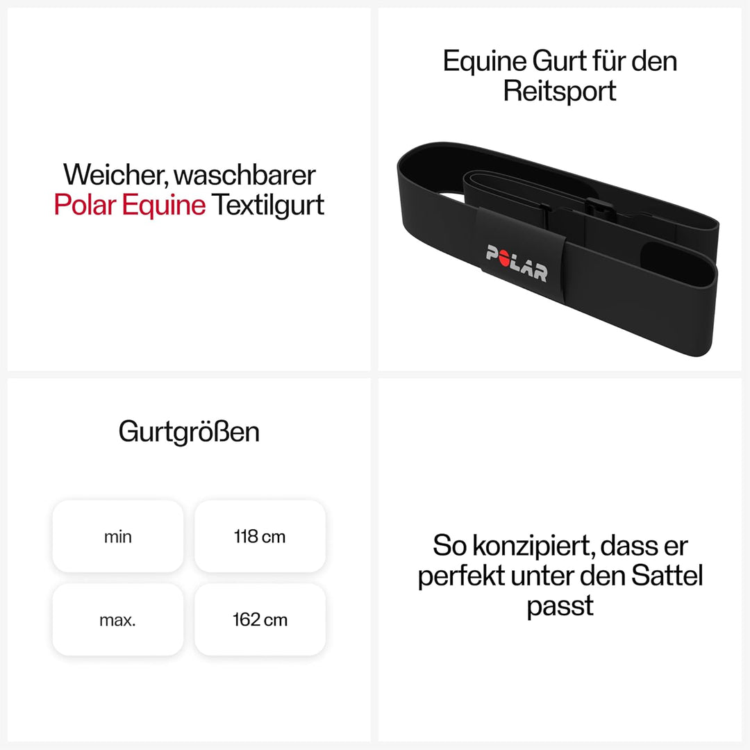 Polar Equine - Pferde Reitsport Trab - H10 Herzfrequenz-Sensor - Wasserdichter Pulssensor mit Brustg