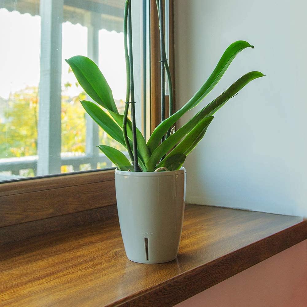 Santino 6er-Set Orchideentopf D 12cm Selbstbewässernder Topf mit Dochtsystem und Wasserstandsanzeige
