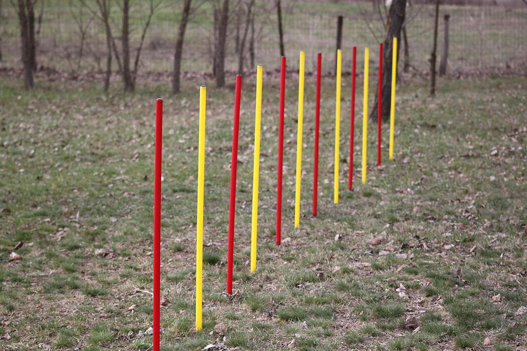 Wuzzmann Agility-ÜBUNGS-Slalom-Set ROT/GELB, 12 RUNDE STANGEN