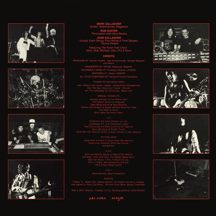 All for One, Vinyl
