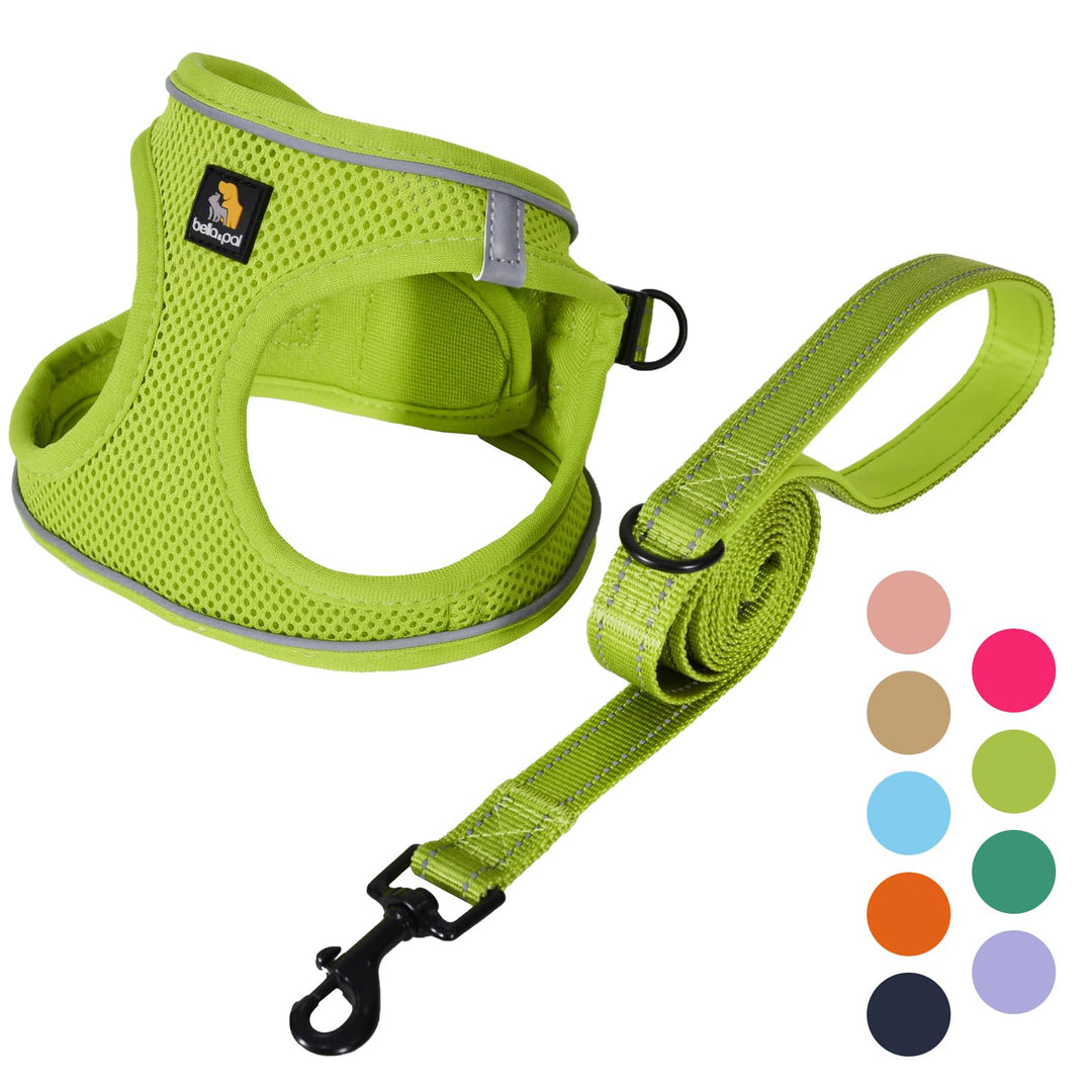 BELLA &amp; PAL Hundegeschirr Kleine Hunde mit Leine, Step-in Geschirr aus Air Mesh, Anti Zug Reflektier