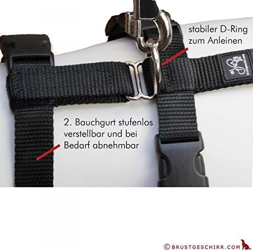 Hoffmann NoExit Hundegeschirr® - ausbruchssicher, Panikgeschirr, braun mit beigen Pfötchen, Bauchumf