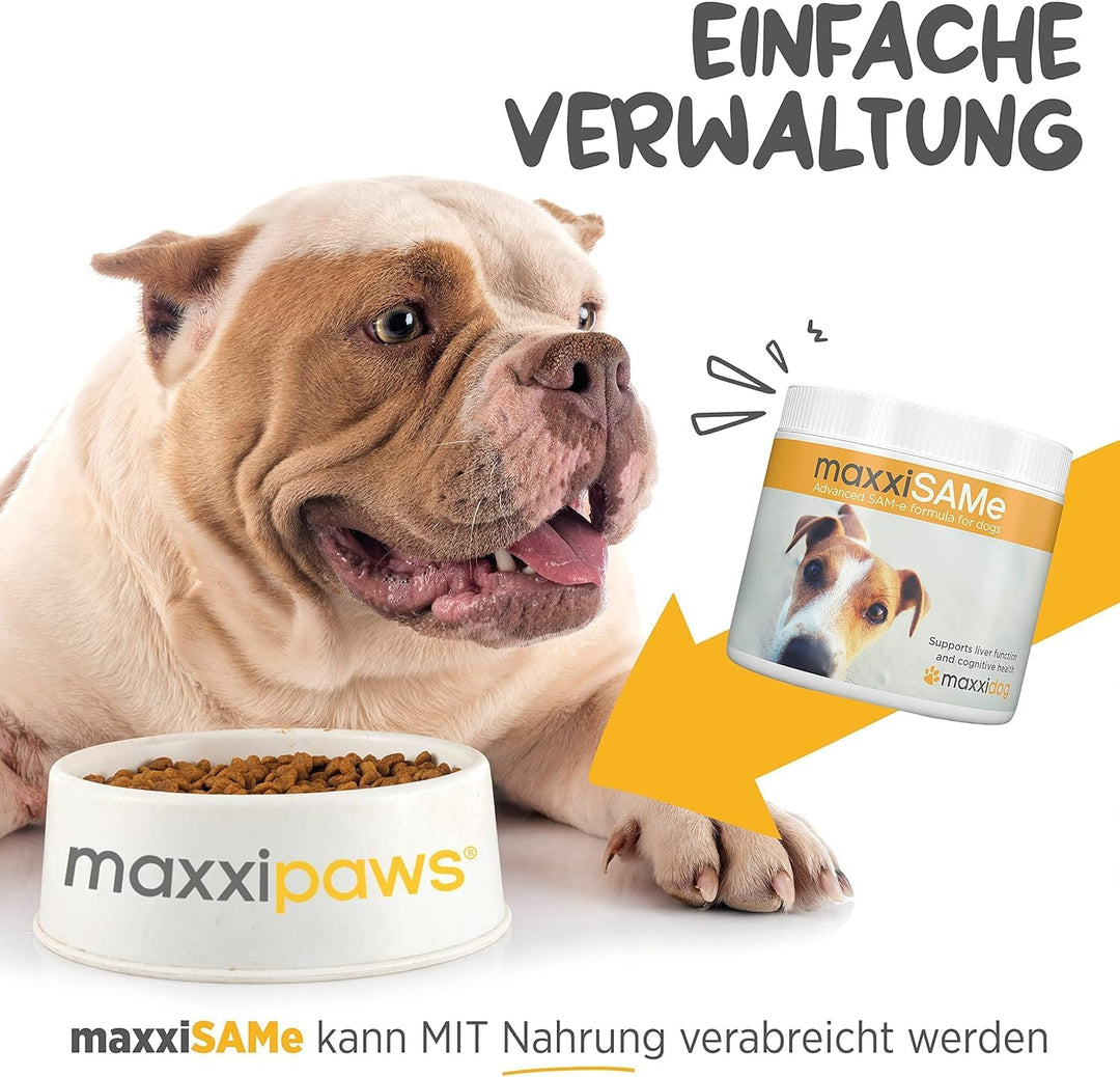 maxxipaws - maxxiSAMe SAM-e Ergänzungsfutter für Hunde -Unterstützung der Leberfunktion &amp; Kognitiver