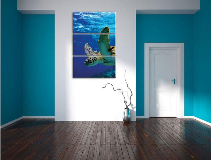 Pixxprint Schildkröte im Riff als Leinwandbild/Grösse: 3 Teilig (120x80) cm/Wandbild/Kunstdruck/fert