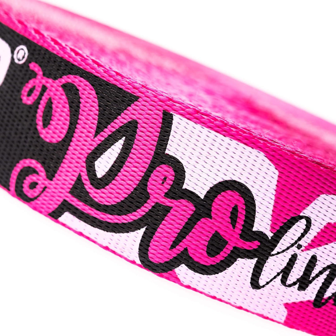TKS02 - Slackline Kit PRO line - Workout und Gleichgewichtstraining, Walk &amp; Freestyle - 2X Ratsche,