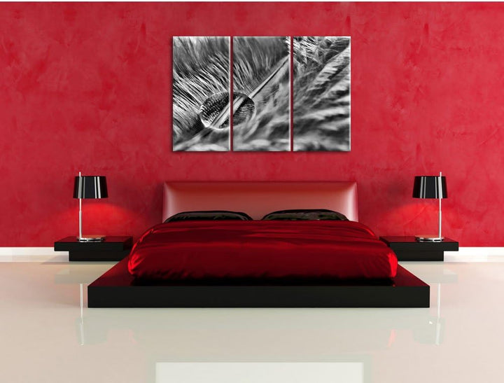 Pixxprint Wassertropfen auf Feder als Leinwandbild/Grösse: 3 Teilig (120x80) cm/Wandbild/Kunstdruck/