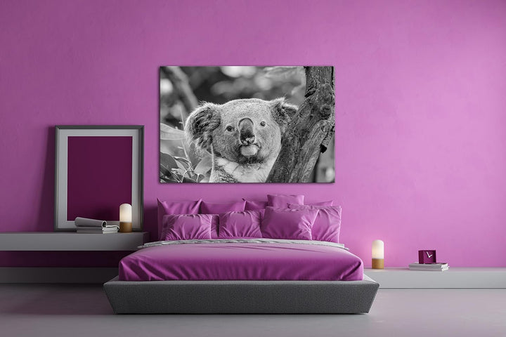 deyoli kleiner Süsser Koala Effekt: Schwarz/Weiss Format: 100x70 als Leinwandbild, Motiv fertig gera
