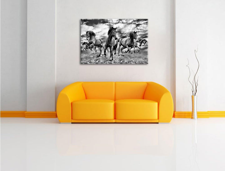 Pixxprint Monocrome, Western Pferde Cowboy, Format: 100x70 auf Leinwand, 100x70