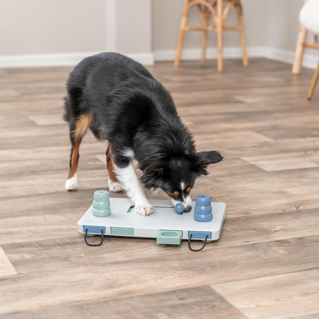 TRIXIE 32025 Move-2-Win Futterpuzzles für Hunde, Level 3, blau und weiss Training Level 3 Move2Win,