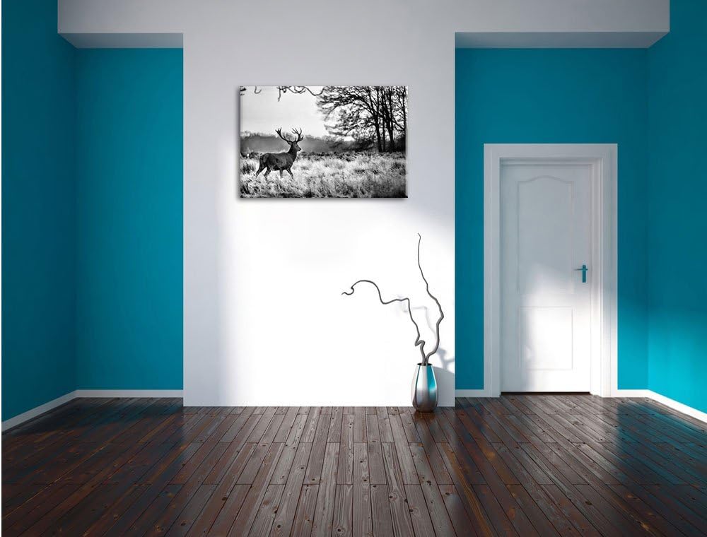 Pixxprint Monocrome, Hirsch im Sonnenuntergang, Format: 100x70 auf Leinwand, 100x70