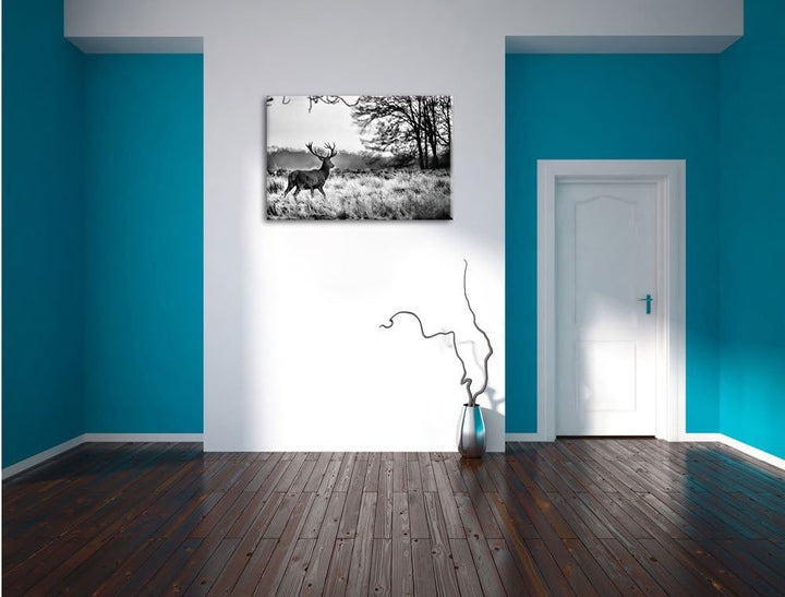 Pixxprint Monocrome, Hirsch im Sonnenuntergang, Format: 100x70 auf Leinwand, 100x70