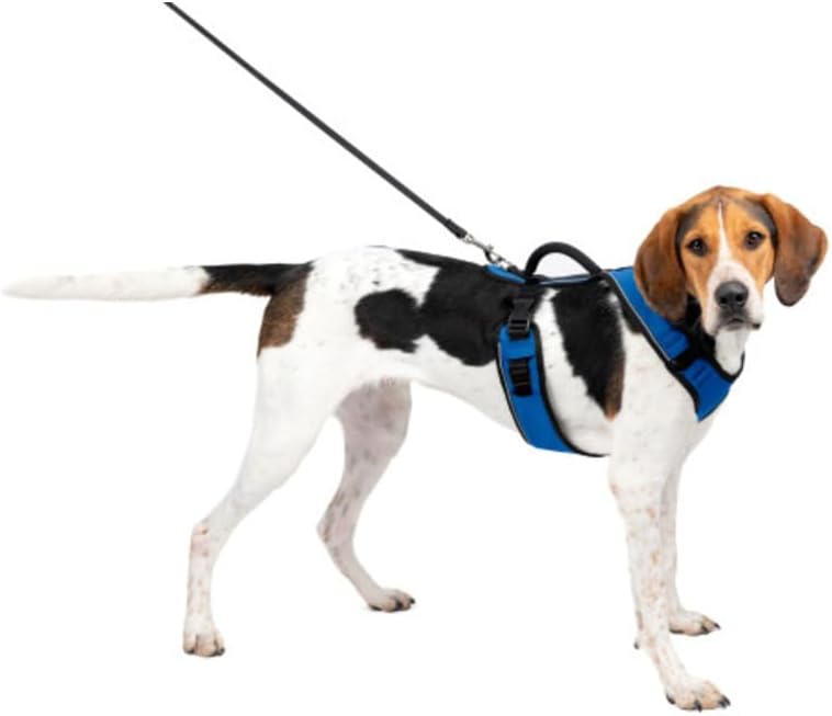 PetSafe EasySport Hundegeschirr, Komplett gepolstert mit elastischem Halsteil, Für Hunde von 29,5-36