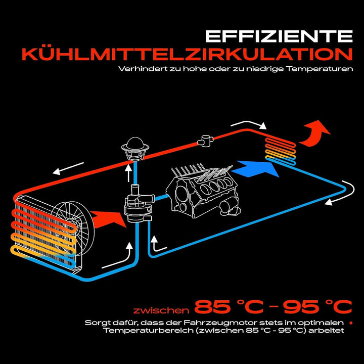 Frankberg Wasserpumpe Kompatibel mit Cabstar F24 2.5L Diesel 2006-2012 NP300 Navara D40 2.5L Diesel