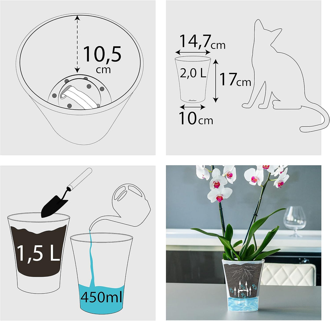 Santino 6er-Set Orchideentopf transparent mit selbstbewässerndem Dochtsystem - D 15 cm - Transparent