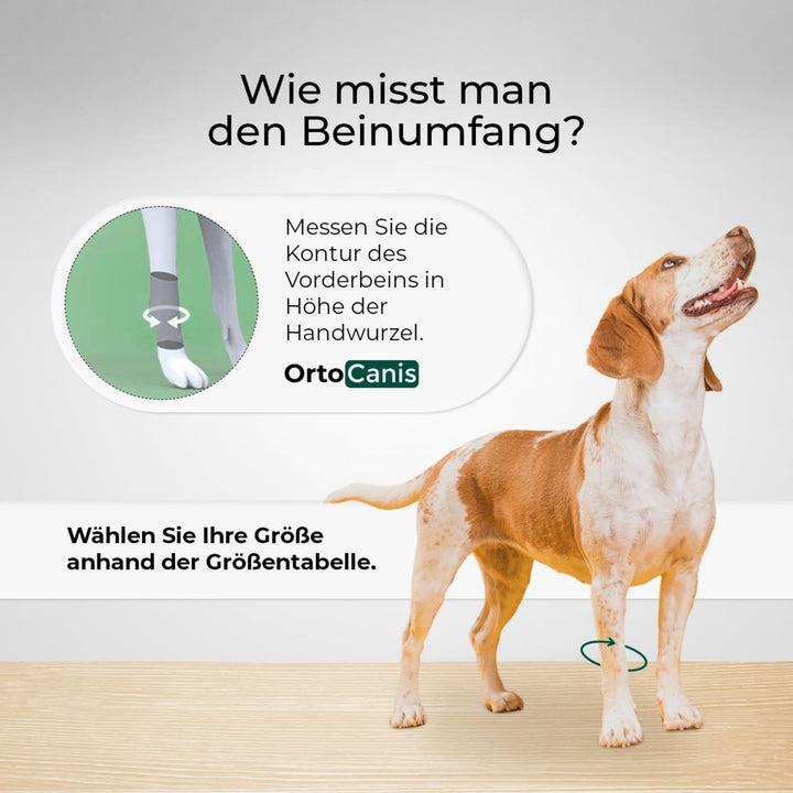 Ortocanis - Karpal-Bandage für Hund - Karpalstütze mit Immobilisierungsschienen bei Instabilität, Ar