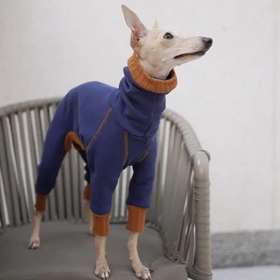 Windhund-Winterkleidung, elastisch, Whippet, vierbeinig, Fleece-Mantel, schlanker Hund, kaltes Wette