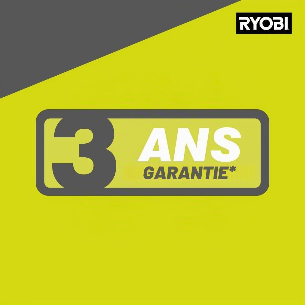 RYOBI Feuchtigkeitsmesser RBPINMM1