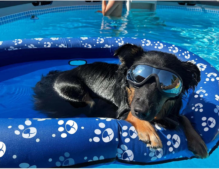Ginkago Aufblasbar Schlauchboot Hunde Boot Haustier Luftmatratze Schwimmbad Strand Spielzeug