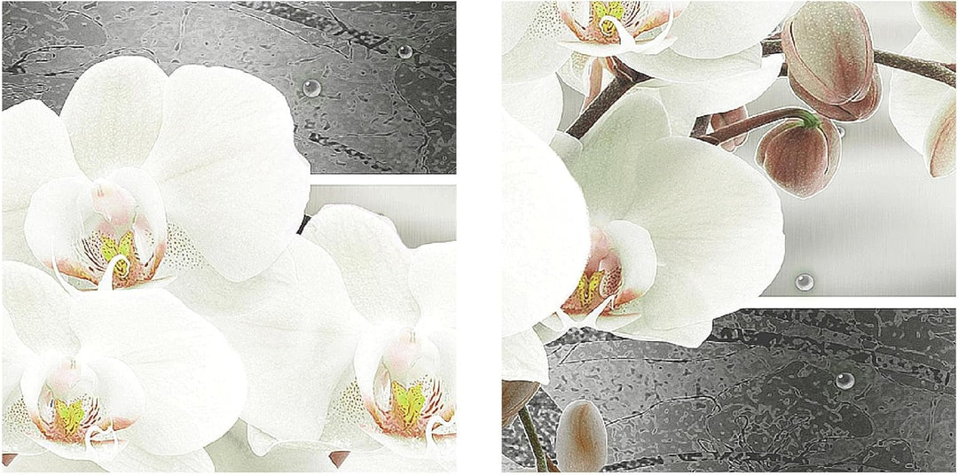 Runa Art Bild Modern Blumen Orchidee - Made in Germany - Wandbilder Abstrakt Grau 4 Teilig 203542c 1