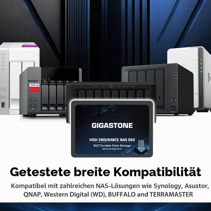 Gigastone NAS SSD 2TB Enterprise SSD Festplatte (4er-Pack) TLC Hohe Dauerhaltbarkeit Server SSD für