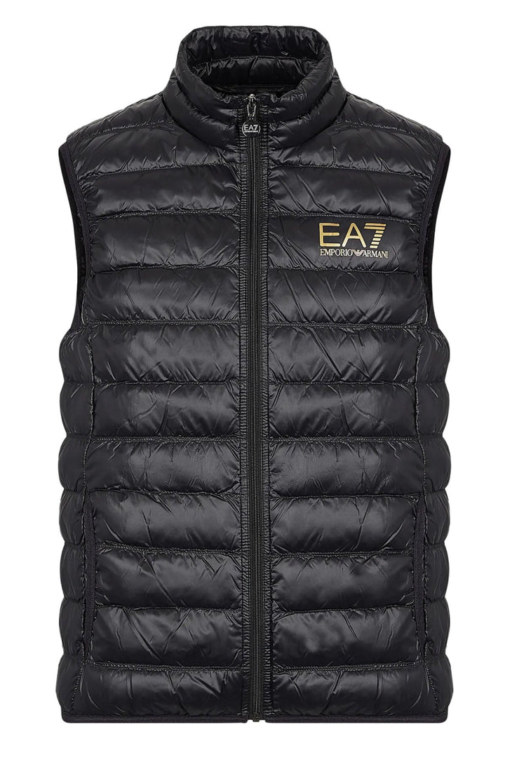 EA7 8npq01 Pn29z Herren