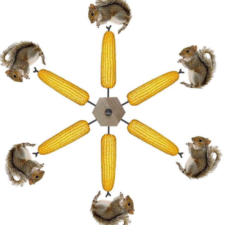Windmühle Eichhörnchen-Futterstation für draussen, Eichhörnchen-Spielzeug, Eichhörnchen-Spinn-Futter