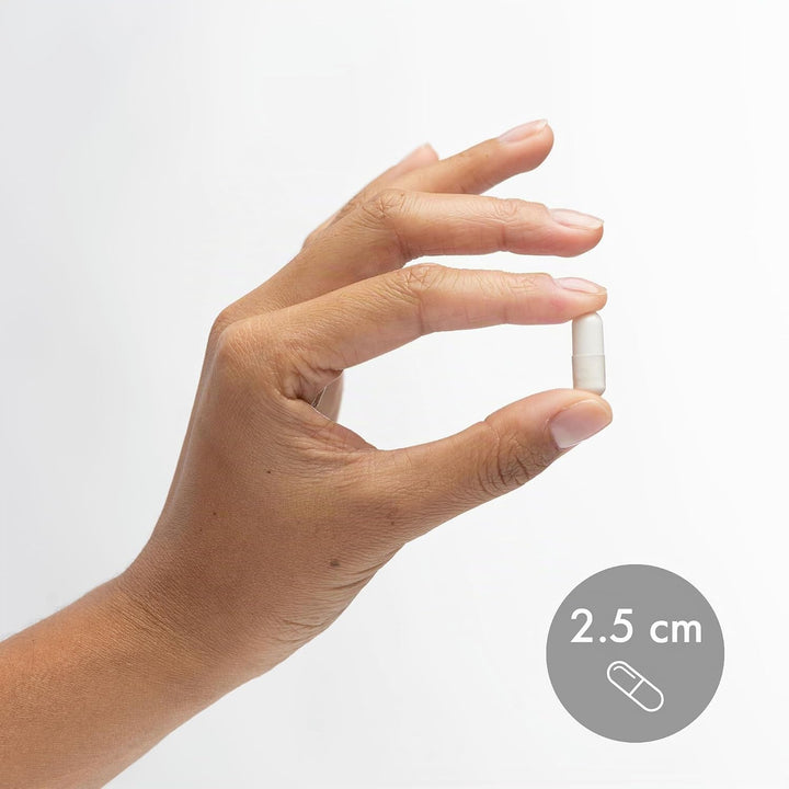 Magnesium L-Threonate (90 Capsules) - Dr. Mercola