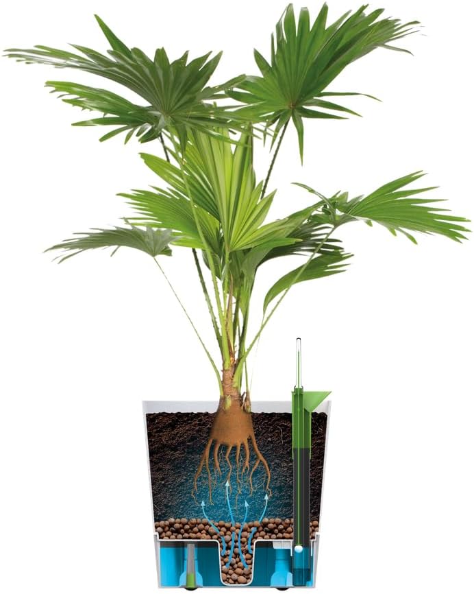 elho Greensense Aqua Care Quadrat 30 mit Integrierte Wasserspeicher - Blumentopf für Innen & Aussen