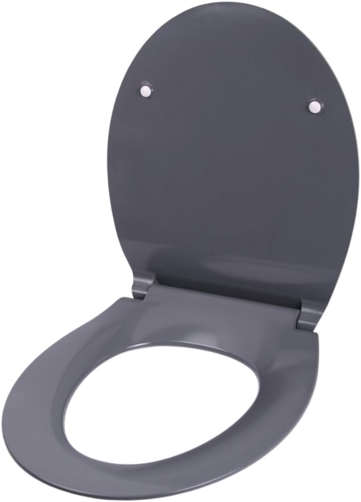 Sanilo WC Sitz mit Absenkautomatik aus Duroplast, faszinierendes Design, Toilettendeckel abnehmbar,