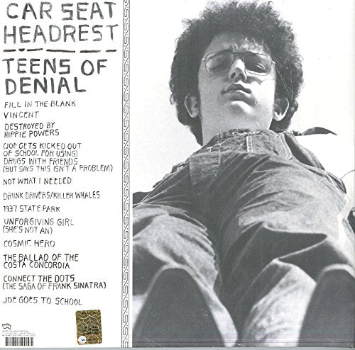 Teens of Denial [Vinyl LP], Vinyl