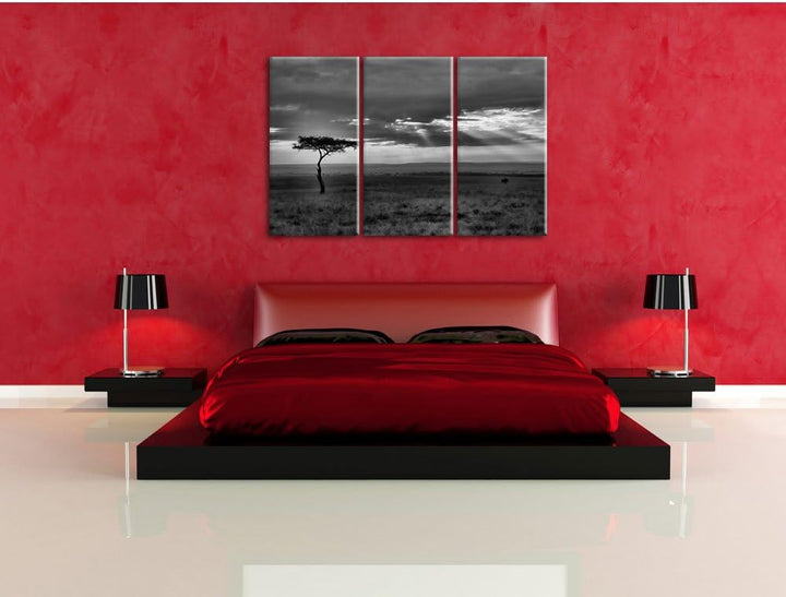 Pixxprint Monocrome, Sonneneinfall in die Savanne 3-Teiler Leinwandbild 120x80 Bild auf Leinwand