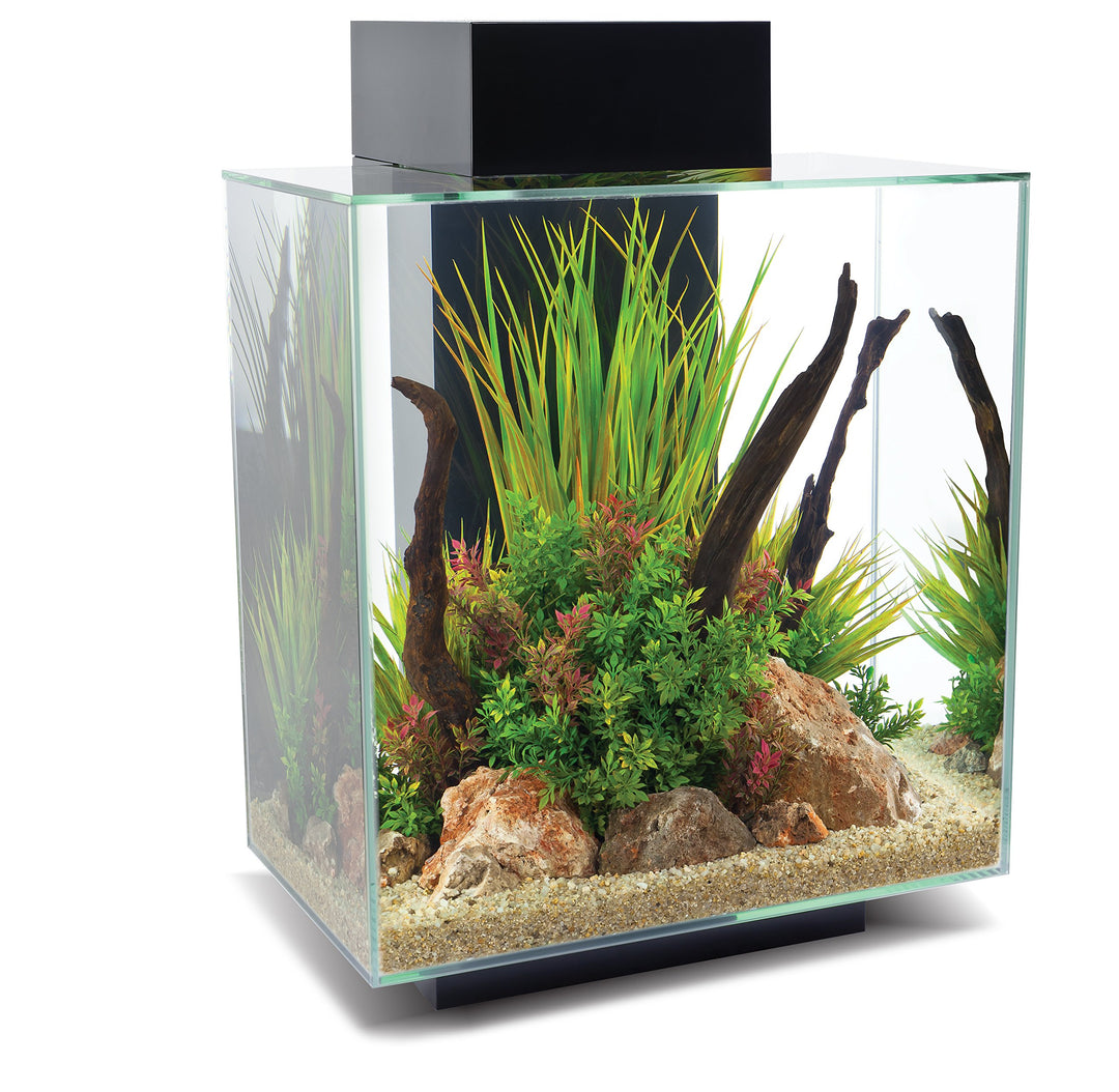 Fluval Edge 2.0 Aquarium, 46L, schwarz, 1 Stück (1er Pack) schwarz 1 Stück (1er Pack), schwarz 1 Stü
