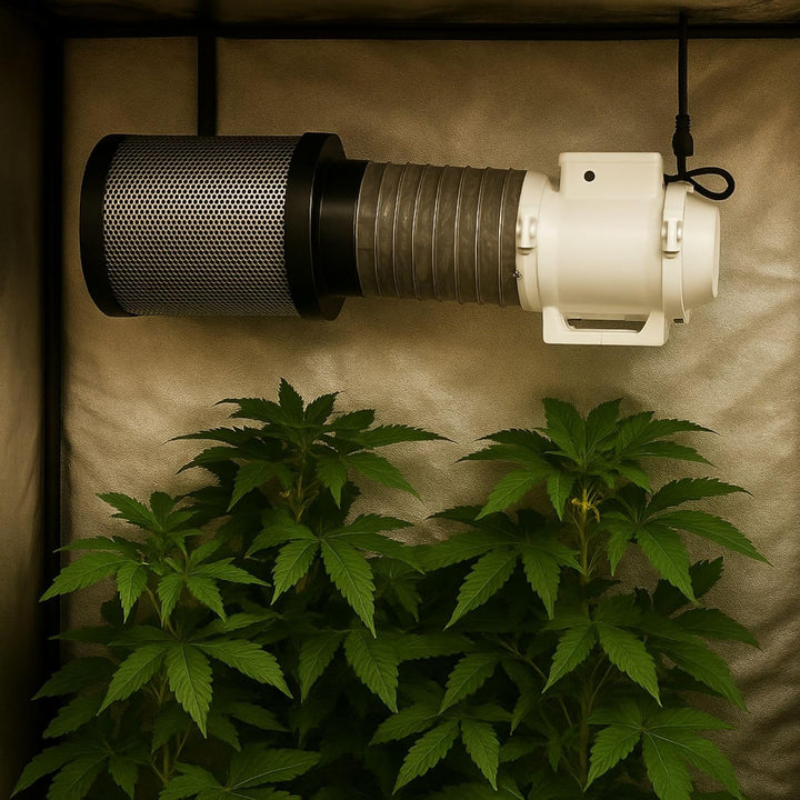 Weedness Grow Abluft 2-stufig 220-280 m³/h 125 mm Anschluss - Lüfter Zu & Ventilator Rohrventilator