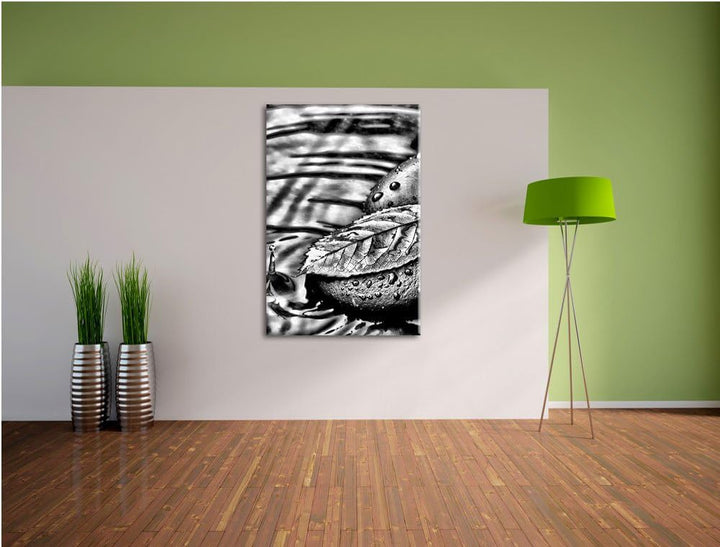 Pixxprint Stein mit Blatt als Leinwandbild | Grösse: 100x70 | Wandbild| Kunstdruck | fertig bespannt