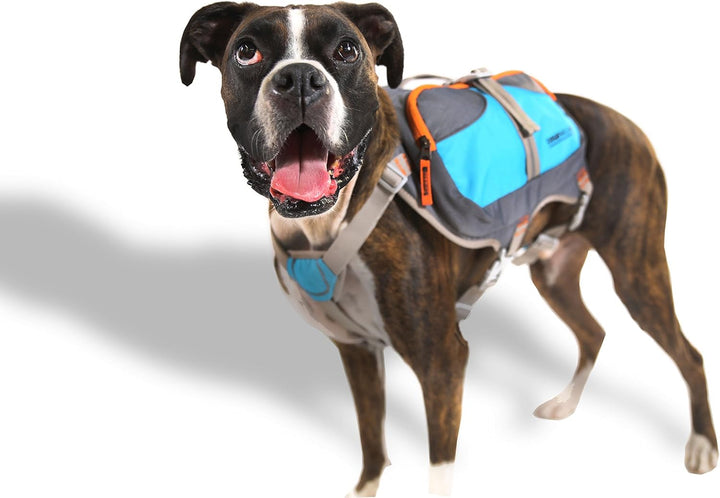 Cesar Millan Dog Backpack™ - Hunderucksack des Hundeflüsterers Cesar Millan™, L