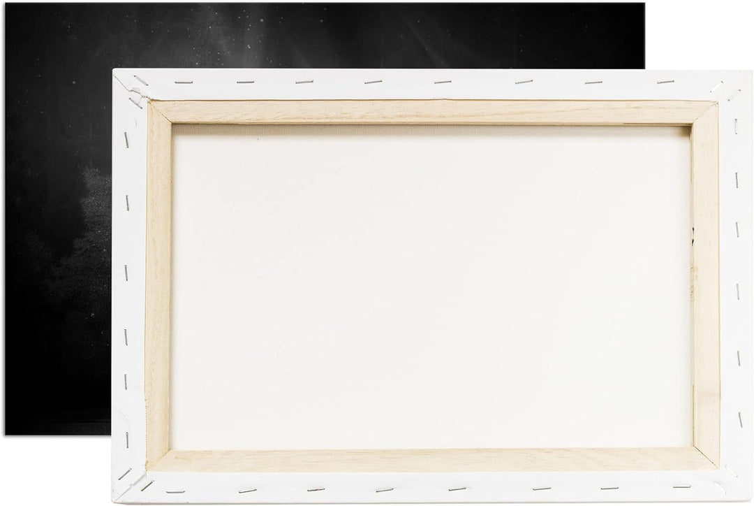 deyoli Einhorn auf einer Waldlichtung Format: 80x60 Effekt: Schwarz&amp;Weiss als Leinwandbild, Motiv fe