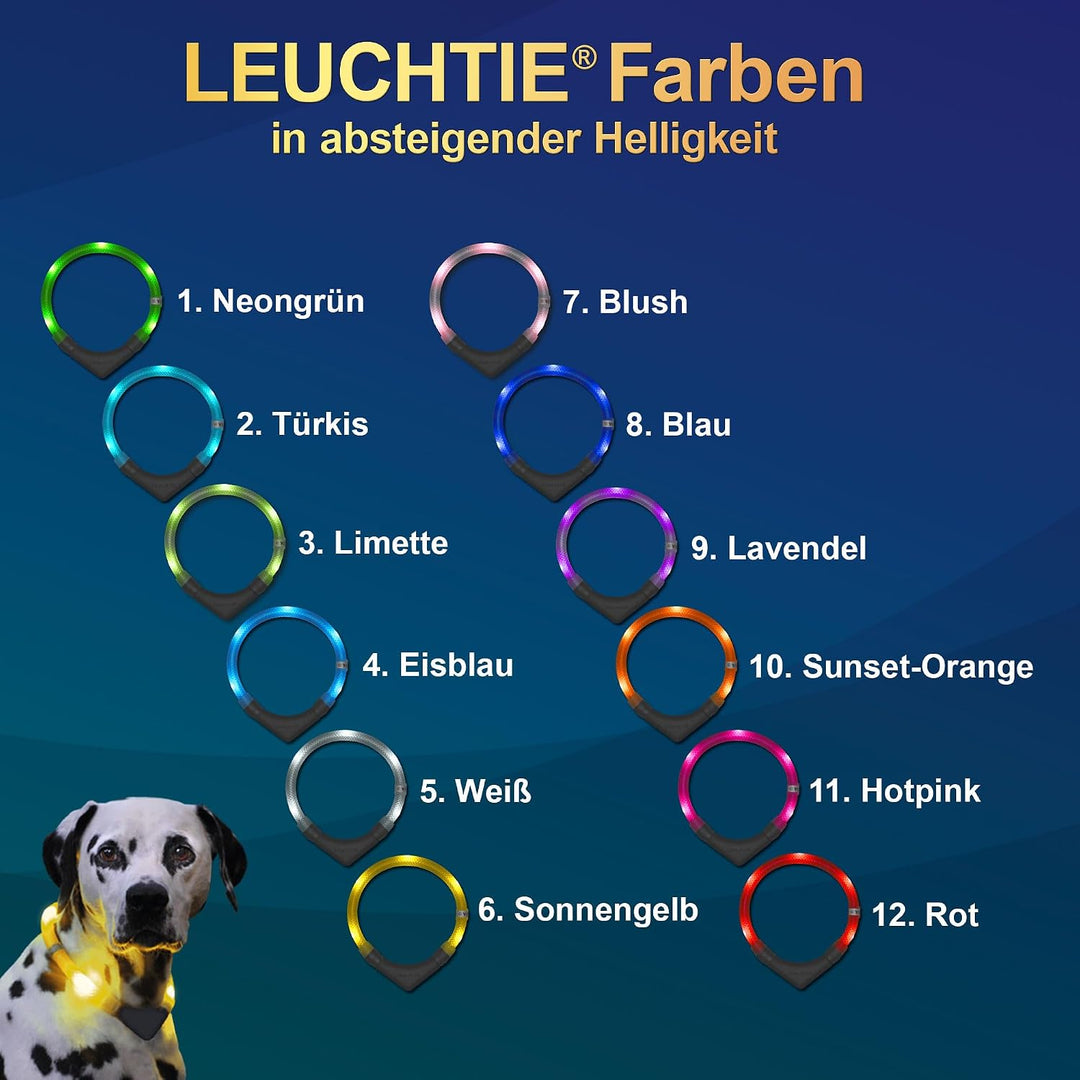 LEUCHTIE® Leuchthalsband Plus türkis Grösse 37,5 I LED Halsband für Hunde I 100 h Leuchtdauer I wass
