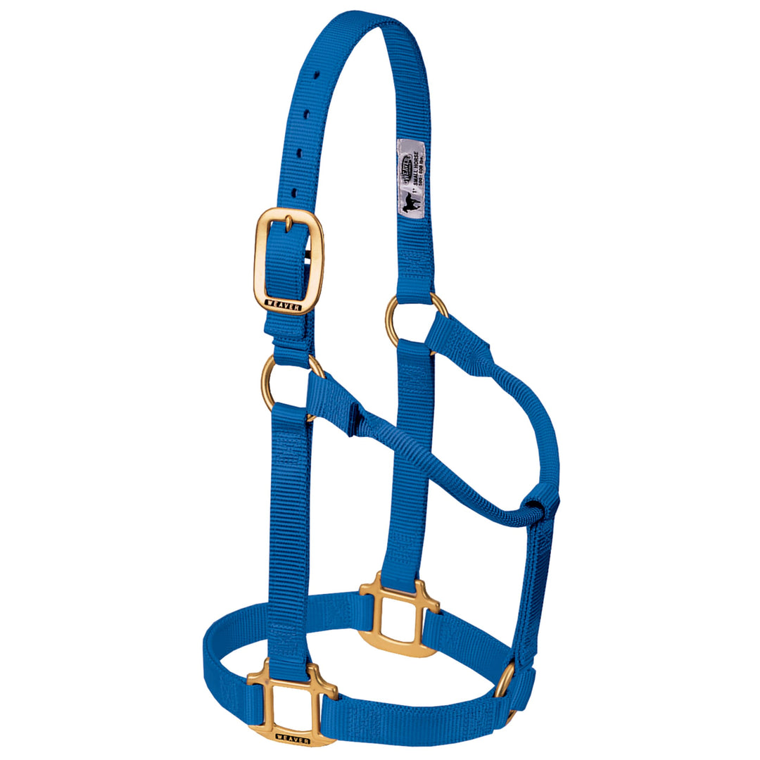 WEAVER Leather, Nicht verstellbares Halfter Blau Average Horse, Blau Average Horse