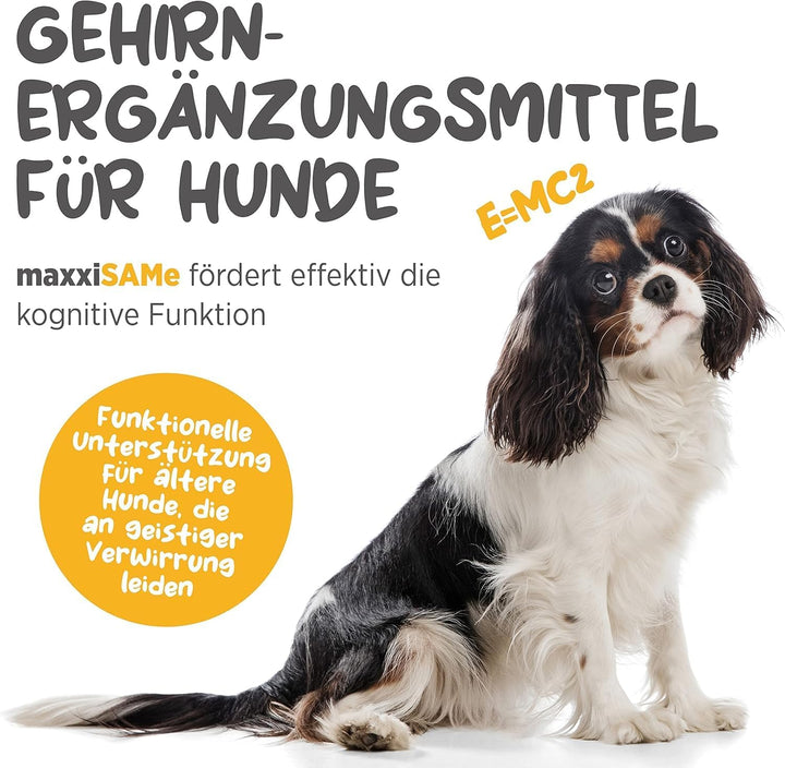 maxxipaws - maxxiSAMe SAM-e Ergänzungsfutter für Hunde -Unterstützung der Leberfunktion &amp; Kognitiver