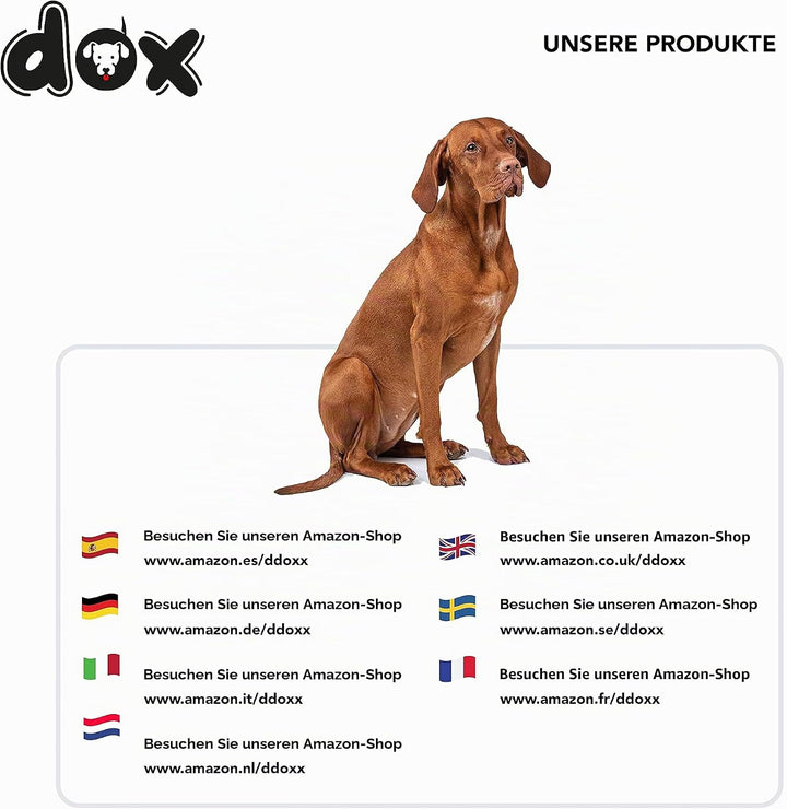 DDOXX Hundeleine Ausziehbar - Stabile Reflektierende Nylonstreifen Hundeleine Bissfest - Rollleine B