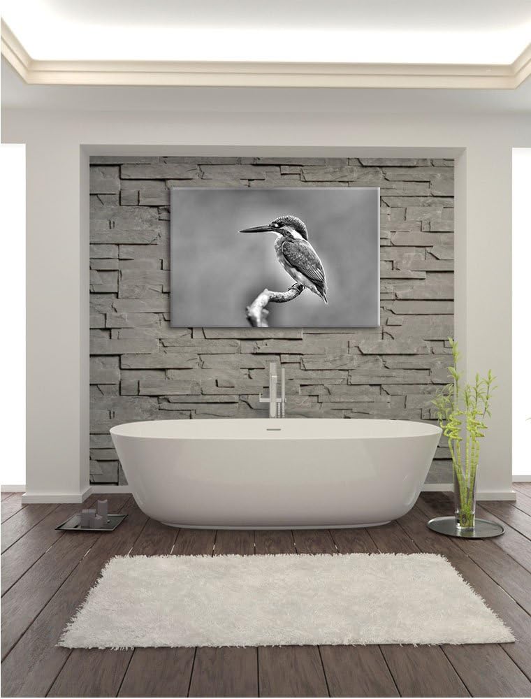 Pixxprint Kleiner Eisvogel als Leinwandbild/Grösse: 100x70 cm/Wandbild/Kunstdruck/fertig bespannt, 1