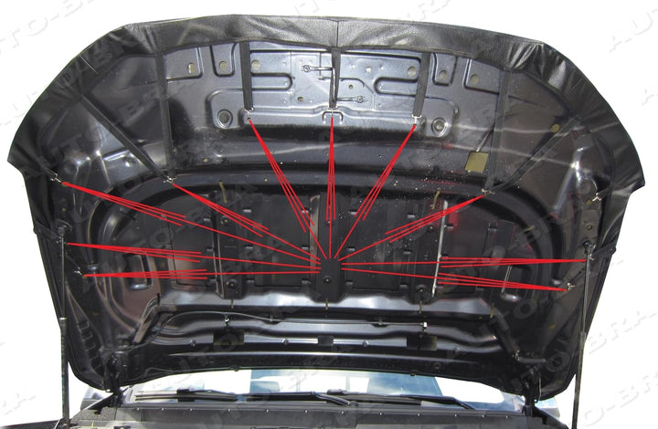 AB3-00041 CARBON OPTIK Auto BRA kompatibel mit Ford Ranger 2015-2022 Haubenbra Steinschlagschutz Tun